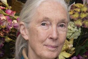 Jane Goodall - Informacje, Ciekawostki, Fakty